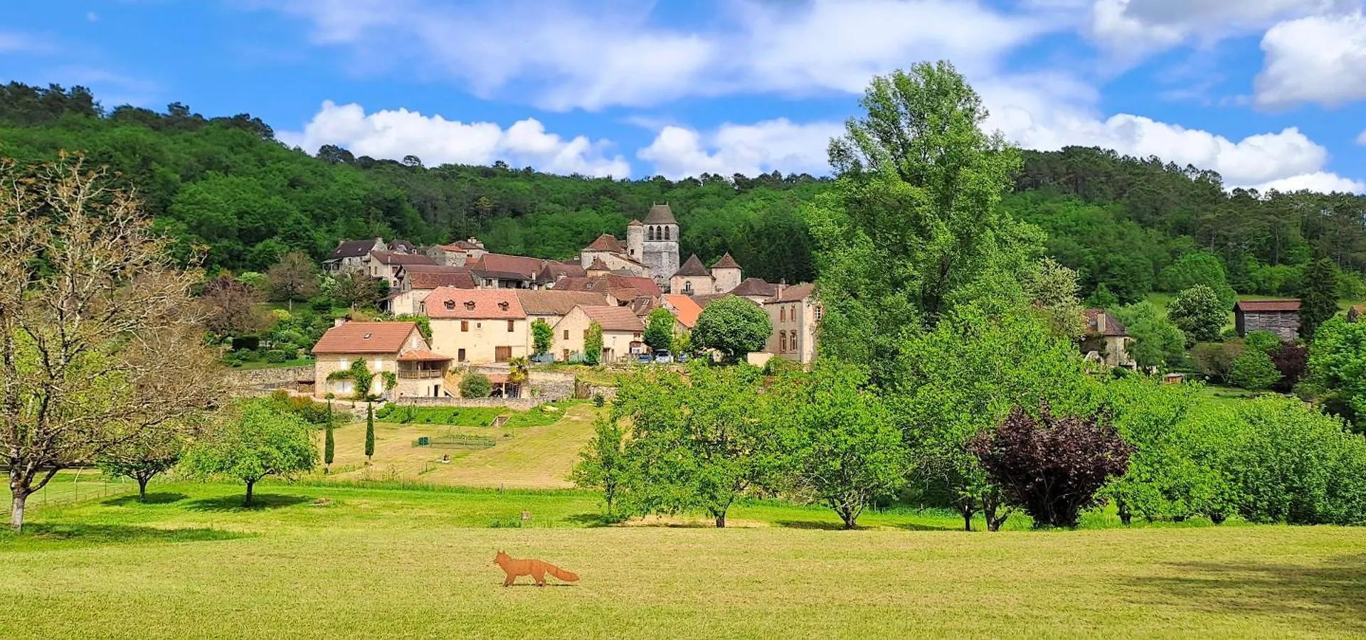Domaine Des Etoiles Bed and Breakfast Lherm